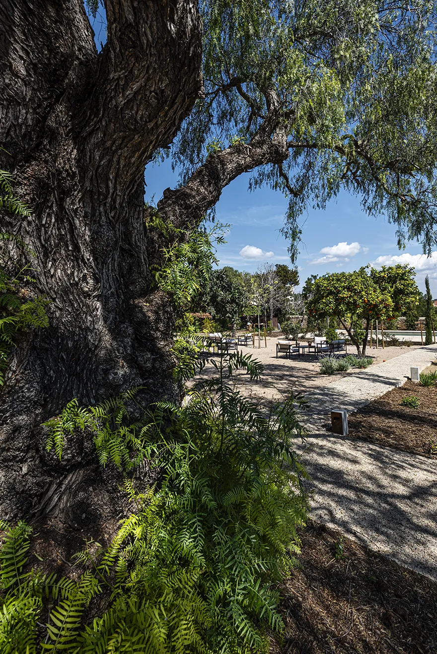 Làpety Hotel, Tarragona